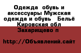 Одежда, обувь и аксессуары Мужская одежда и обувь - Бельё. Кировская обл.,Захарищево п.